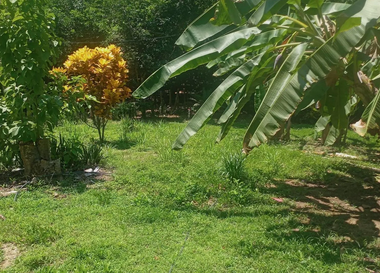 Guest house Tayrona Fercho'S House Hotel Los Naranjos